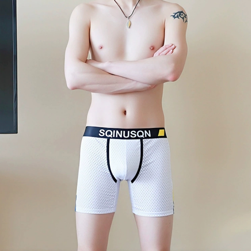 Men's Ice Silk Mesh Boxer Brie - Mesh Sport Boxer review and price